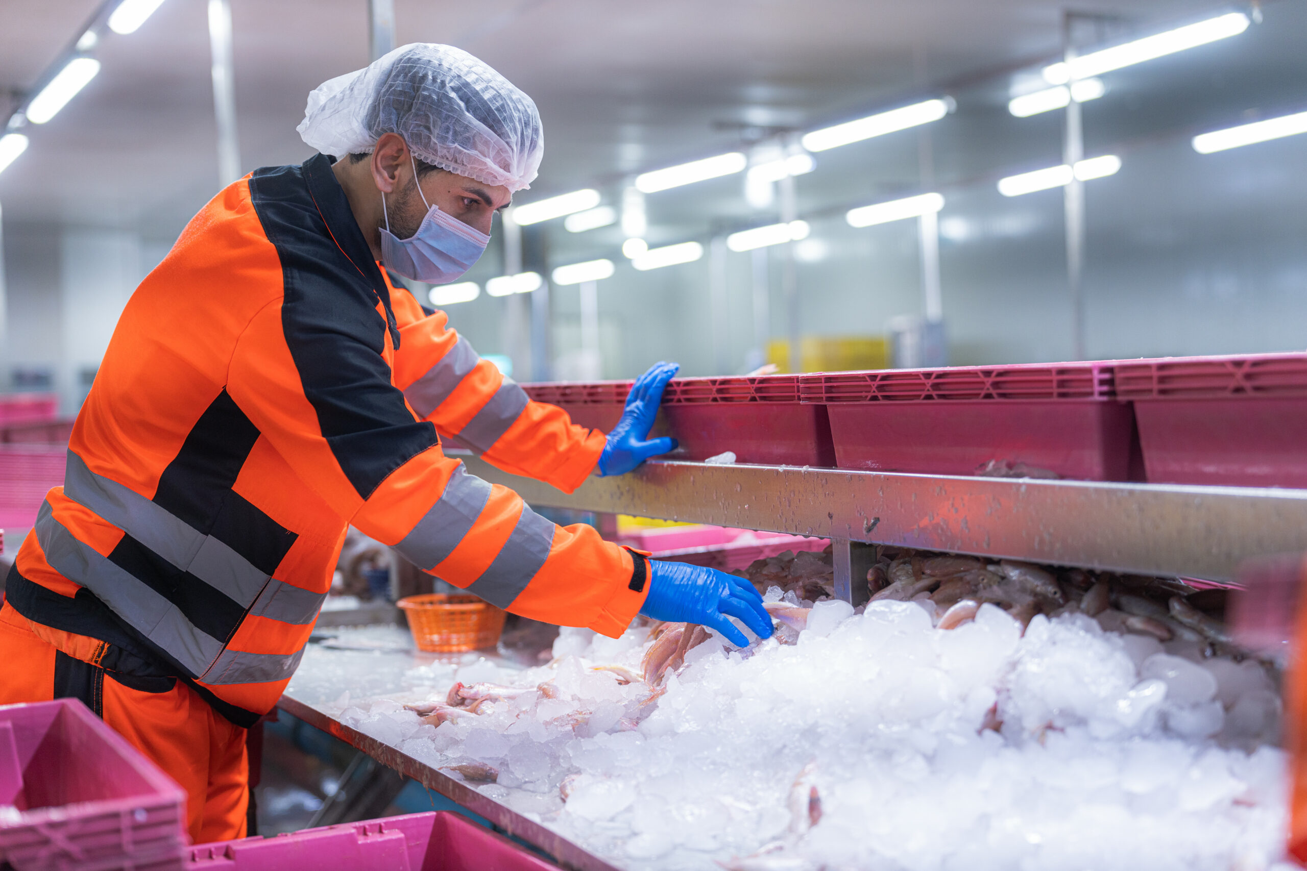 Refrigerated semi truck hauling perishable freight in winter conditions, illustrating cargo insurance coverage risks for frozen and temperature-controlled loads.
